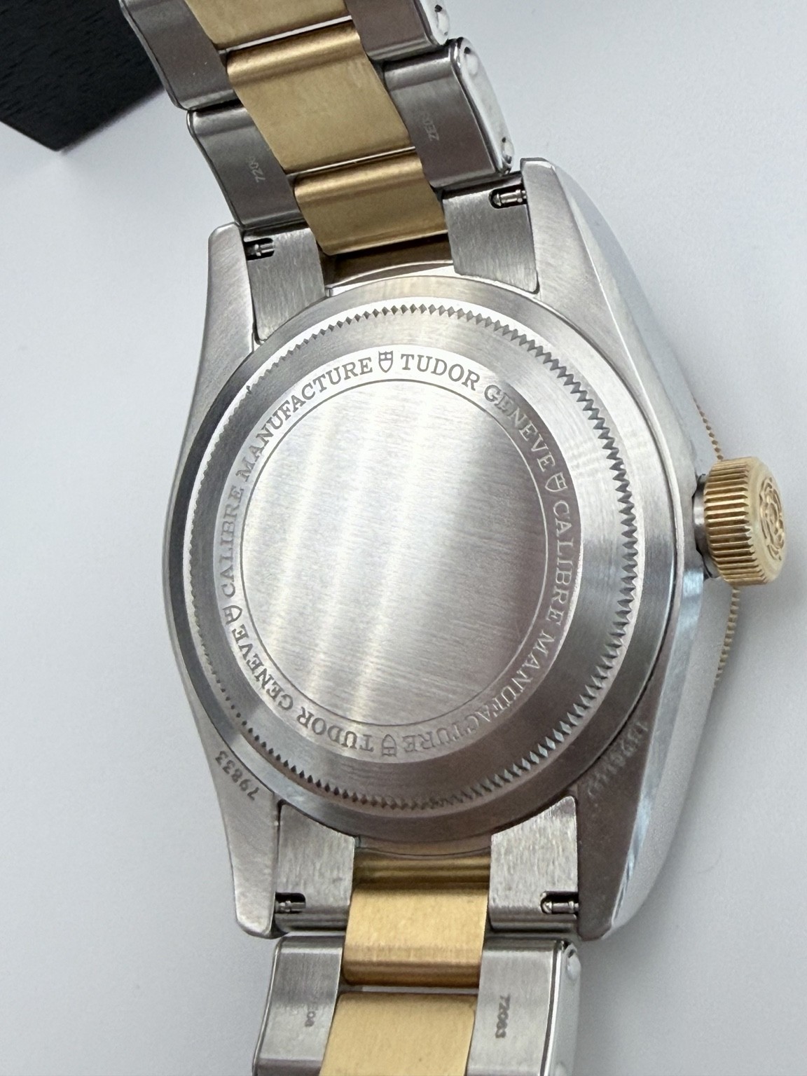Tudor caseback detail